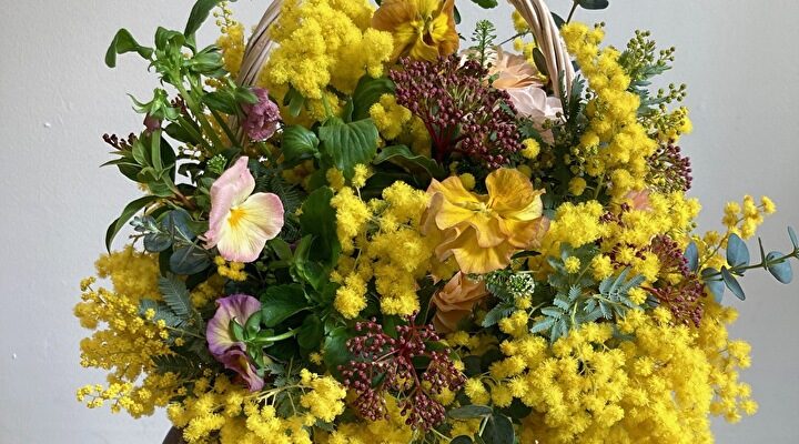 2026年　2月（後半）「ミモザのバスケットアレンジ教室」