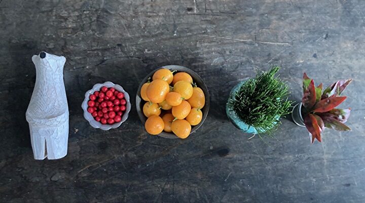 2026年　あけましておめでとうございます！